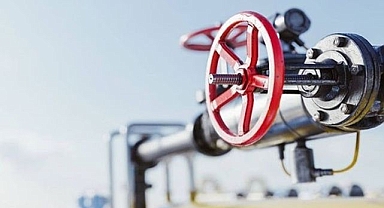 Doğalgaz kesintisi krize döndü: PALEN kış ortasında dondurdu