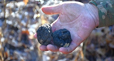 Doğanın gizli hazinesi keşfedildi