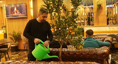 Doğayı kafeye taşıdı: Müşterilerin ilgi odağı oldu
