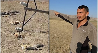 Elektrik direği faciası! Gördüğü manzara dehşete düşürdü!