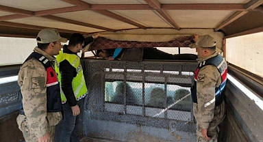 Erzurum’da jandarmadan düzensiz göçe darbe