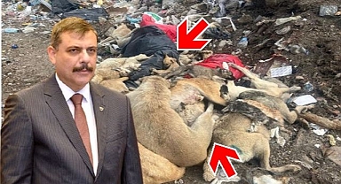 Erzurum’daki o görüntüye Vali’den açıklama