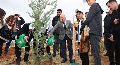 Bu fidanlar şehitler için...