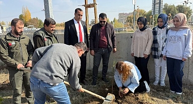 Fidanlar toprakla buluştu