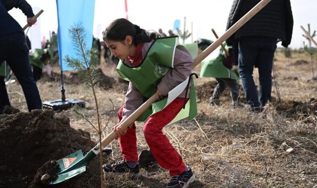 Fidanlar toprakla buluştu