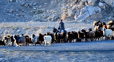 Göçerlerin dönüş yolculuğu devam ediyor
