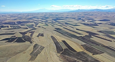 Hasadı tamamlanan tarlalar bakın neye benzetildi