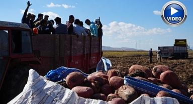 Hasat zamanı en büyük sorun...