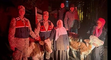 Hayvan hırsızları jandarmadan kaçamadı!