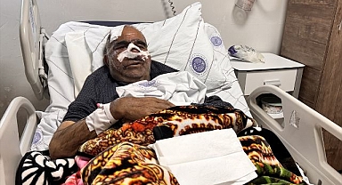 Hayvan otlatırken ayı saldırdı!