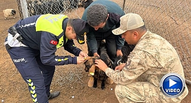Jandarma’dan kazalara ışıklı çözüm