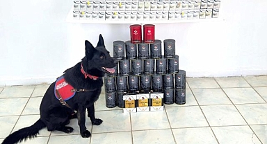 Kaçak sigara ve çay ele geçirildi