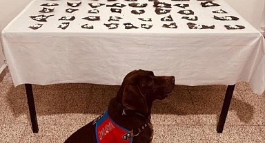 Kapsülün içinden ilaç yerine bakın ne çıktı!