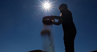 Kazılarda 5 bin yıllık arpa taneleri bulundu