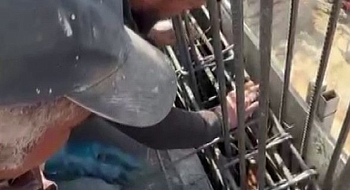 Kedi dökülen betonun altından son anda kurtarıldı