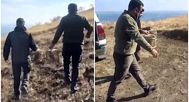 Keklikler doğal yaşama bırakıldı