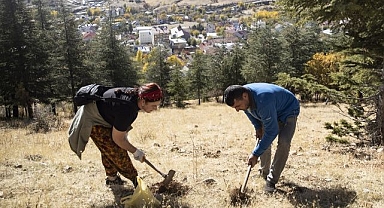 Kıraç toprakları meşe palamuduyla buluşturuyorlar