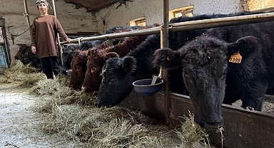 Kırsalda hayvancılığı canlandıran proje