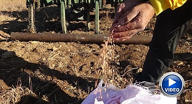 Kış öncesi hazırlıklar sürüyor: Çiftçiler hummalı çalışmada