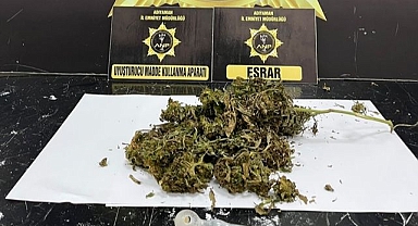 Klimanın içinden öyle bir şey çıktı ki...