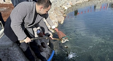 Köy konağında havuza balık bırakma etkinliği