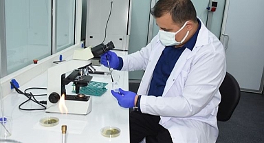 Küf zehirine yerli çözüm!