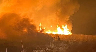 Kuş cennetinde korkutan yangın!