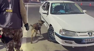 Magnum zehir tacirlerine nefes aldırmadı