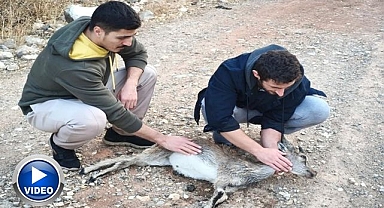 Merhamet yüklü yolculuk!