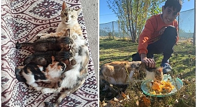 Minik canlara yuva oldular