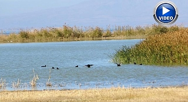 Nesli tükenen türlerin güvenli sığınağı