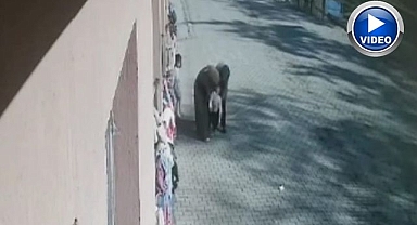 Öğrencisini heimlich manevrasıyla kurtardı