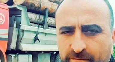 Ormanda devrilen ağaç sonu oldu!