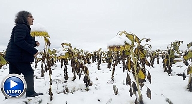 Profesörden şaşırtan performans!