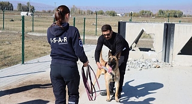 Sahipli köpeklere arama kurtarma eğitimi