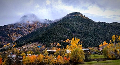 Sakin şehir Şavşat, sonbaharda büyülüyor