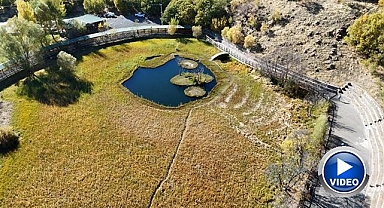 Sarı ve kızıl tonlarıyla büyüledi