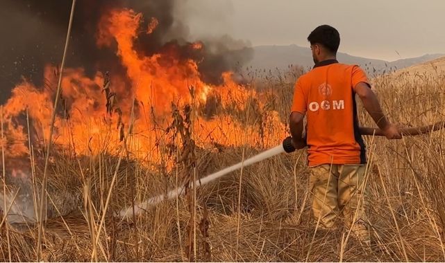 Sazlık yangını büyüyor! Müdahale güçlükle sürüyor