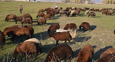 Sıcak hava besicilerin yüzünü güldürdü