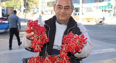 Şifa deposu gilaburuya yoğun ilgi