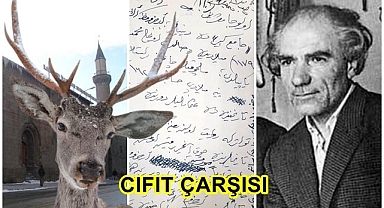 Siz daha soğuk görmediniz!