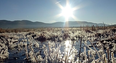Soğuk hava yüzünü gösterdi! Şehir buz tuttu