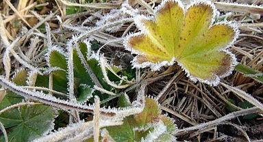 Soğuk havanın etkisi beyaza bürüdü