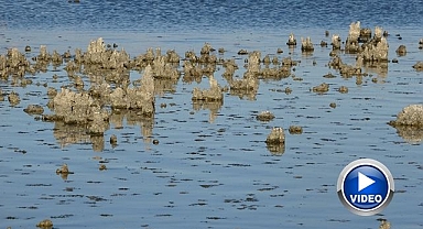 Su çekilince mikrobiyalitler ortaya çıktı