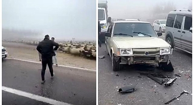 Trafiği sis vurdu! Araç koyun sürüsünün içine daldı