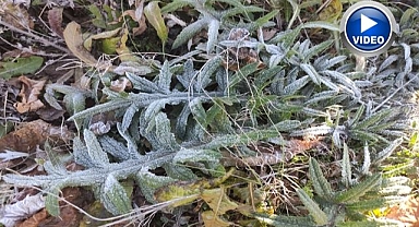 Türkiye'nin en soğuk yerleşim yeri belli oldu