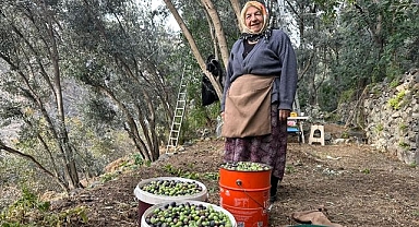 Türkiye'nin her yerinden yoğun talep görüyor
