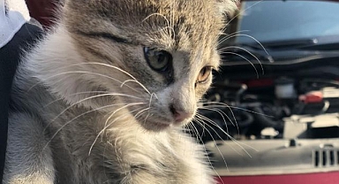 Vatandaşlara çağrı! Aracı çalıştırmadan kaputa vurun!