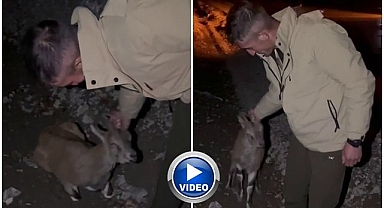 Yaralı halde yol kenarındaydı: Erzurumlu gençler fark etti