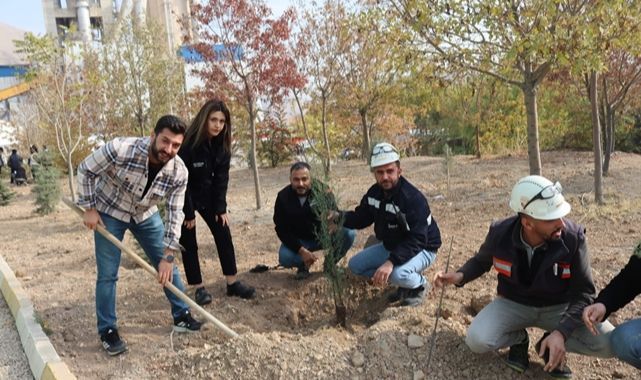 Yüzlerce fidan toprakla buluştu